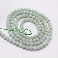 Natural Amazonite Beads Strands&nbsp;G-N0197-02-3mm