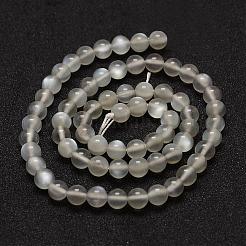 Natural Grey Moonstone Beads Strands&nbsp;G-F306-07-6mm