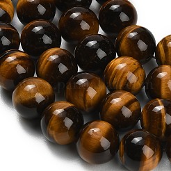 Natural Tiger Eye Beads Strands&nbsp;G-C293-A01-14mm