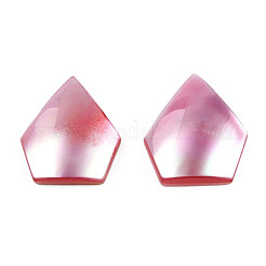 Natural Turbo Cornulus/Top Shells Cabochons&nbsp;SSHEL-N003-155B