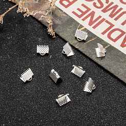 Iron Ribbon Crimp Ends&nbsp;X-E004Y-S