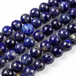 Natural Lapis Lazuli Round Beads Strands&nbsp;G-I181-09-10mm