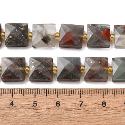 Natural African Bloodstone Beads Strands&nbsp;G-F839-A01-01