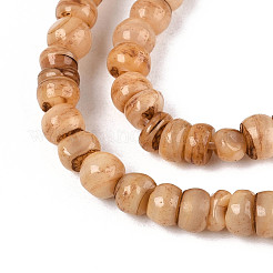 Natural Freshwater Shell Dyed Beads Strands&nbsp;SHEL-T020-29A-04