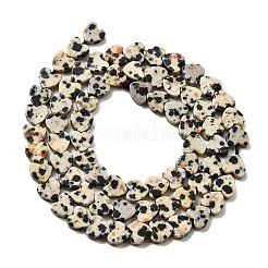 Natural Dalmatian Jasper Beads Strands&nbsp;LS-G-A272-A01-32
