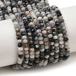 Natural Blue Spot Jasper Beads Strands&nbsp;G-D347-B06