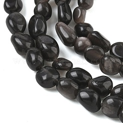 Natural Silver Sheen Obsidian Beads Strands&nbsp;G-C286-A21