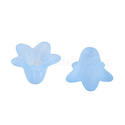 Transparent Acrylic Beads&nbsp;PLF018-06