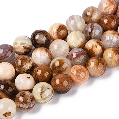 Natural Wood Lace Stone Wooden Jasper Beads Strands&nbsp;G-B128-A04-04