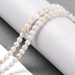 Natural Howlite Beads Strands&nbsp;G-C025-02B-09