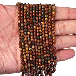 Natural Picasso Stone/Polychrome Jasper Beads Strands&nbsp;G-A260-A24-01