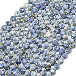 Natural Blue Spot Jasper Beads Strands&nbsp;G-C116-A73-02