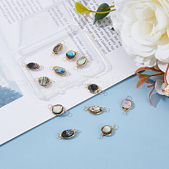 12Pcs 2 Styles Natural Abalone Shell/Paua Shell Copper Wire Wrapped Connector Charms&nbsp;PALLOY-AB00261