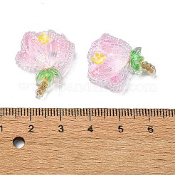 Transparent Epoxy Resin Decoden Cabochons&nbsp;CRES-I030-01A