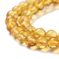 Natural Amber Beads Strands&nbsp;G-K308-C01-5mm