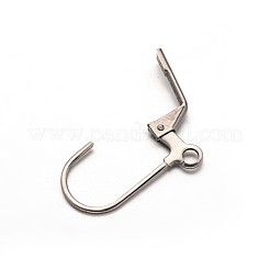 Tarnish Resistant 304 Stainless Steel Leverback Earring Findings&nbsp;STAS-M217-02