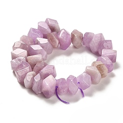 Natural Kunzite Beads Strands&nbsp;G-N327-05-10