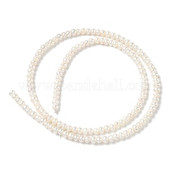 Natural Cultured Freshwater Pearl Beads Strands&nbsp;PEAR-C004-18B