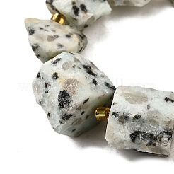 Raw Rough Natural Seaame Jasper Beads Strands&nbsp;G-Z087-B03