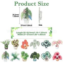 24Pcs 12 Styles Plant Acrylic Lapel Pin Brooch Pin&nbsp;JEWB-CJ0003-38