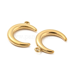 304 Stainless Steel Pendants&nbsp;STAS-L022-223G