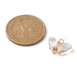Plating Transparent Acrylic Connector Charms&nbsp;PALLOY-JF02203