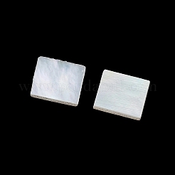 White Shell Cabochons&nbsp;SSHEL-I007-11