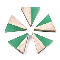 Translucent Resin & Wood Cabochons&nbsp;CRES-N028-001A-A