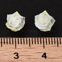 Luminous Resin Decoden Cabochons&nbsp;RESI-K036-45