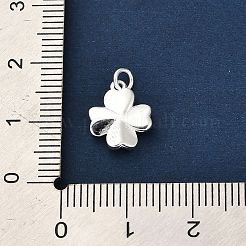 925 Sterling Silver Charms&nbsp;FIND-Z069-04S-C