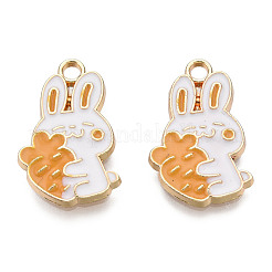 Eco-Friendly Zinc Alloy Pendants&nbsp;X-FIND-N048-58C-NR