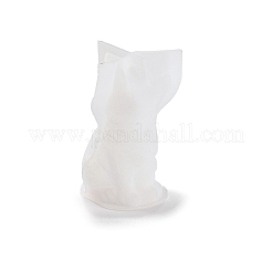 Decoration DIY Silicone Mold&nbsp;DIY-K073-16B