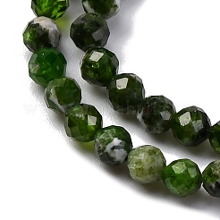 Natural Diopside Beads Strands&nbsp;X-G-G188-B14-02