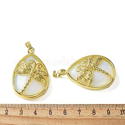 Opalite Pendants&nbsp;G-G900-01G-05