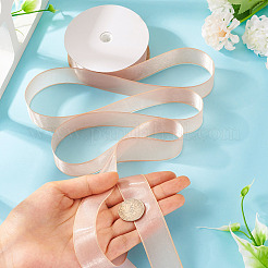 1 Roll Transparent Polyester Ribbon&nbsp;OCOR-TA0002-34C