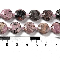 Natural Rhodonite Beads Strands&nbsp;G-NH0004-025