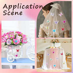 80Pcs 8 Colors Lace Butterfly Display Decorations&nbsp;DIY-CP0012-98