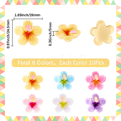 60Pcs 6 Colors Plastic Cabochons&nbsp;KY-SC0002-54B