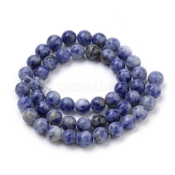 Natural Brazil Blue Spot Jasper Beads Strands&nbsp;G-S259-36-6mm