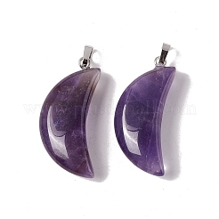 Natural Amethyst Pendants&nbsp;G-Z022-03D