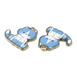 Alloy Enamel Pendants&nbsp;FIND-C037-20G-07