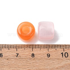 Opaque Resin with Glitter Powder European Beads&nbsp;RESI-G119-02