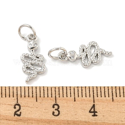 Rack Plating Brass Micro Pave Clear Cubic Zirconia Pendants&nbsp;KK-B093-02G-P