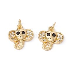 Rack Plating Brass Micro Pave Cubic Zirconia Charms&nbsp;ZIRC-C040-42G