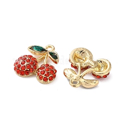 Alloy Pendants&nbsp;FIND-O003-01G