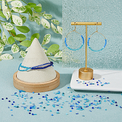 DIY Plastic Paillette & Seeed Beads Jewelry Making Finding Kit&nbsp;DIY-DC0002-85C