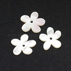 Natural White Shell Beads&nbsp;SSHEL-I008-03
