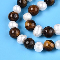 Natural Tiger Eye Round & Natural Cultured Freshwater Pearl Grooved Potato Beads Strands&nbsp;PEAR-N019-10