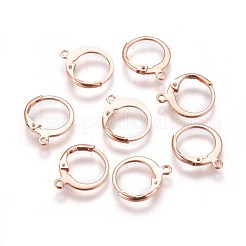 304 Stainless Steel Leverback Earring Findings&nbsp;X-STAS-E460-02RG