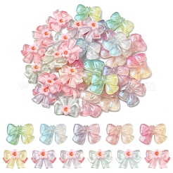 20Pcs Transparent Resin Cabochons&nbsp;RESI-YW0005-61